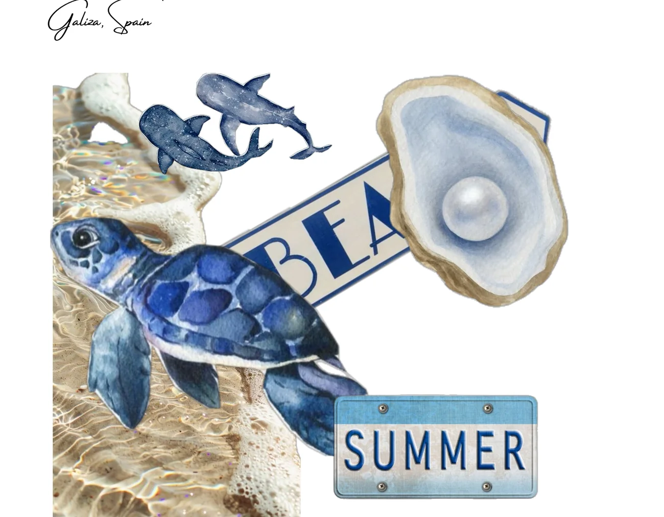 Colagem SUMMER com tartaruga, baleias e ostra